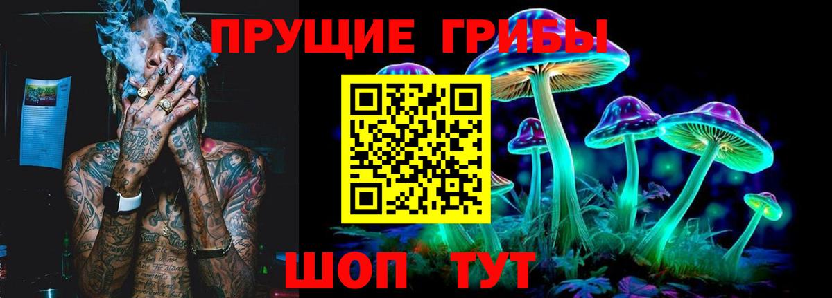 Псилоцибиновые грибы GOLDEN TEACHER  Псилоцибиновые грибы GOLDEN TEACHER  Вход с VPN  Назрань 